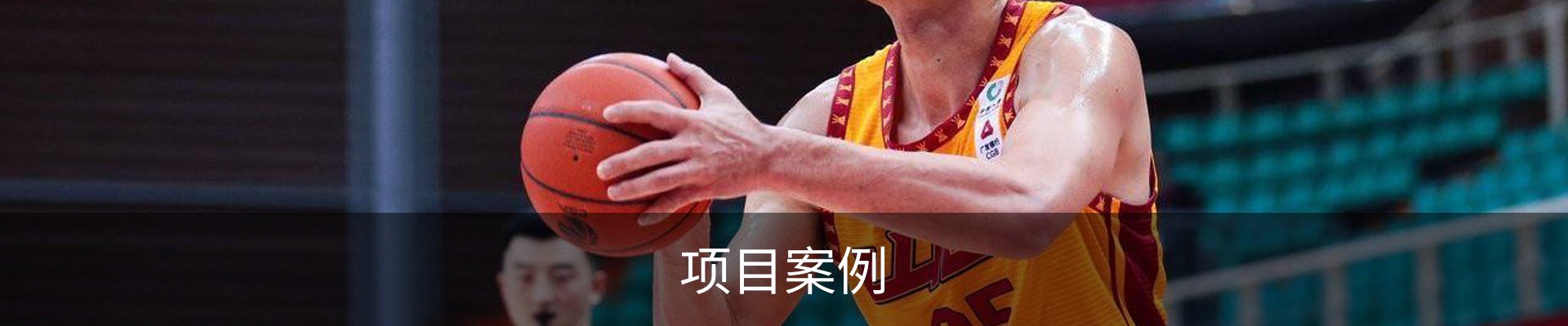 项目案例